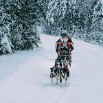 Новый Год и зимние туры в Карелии